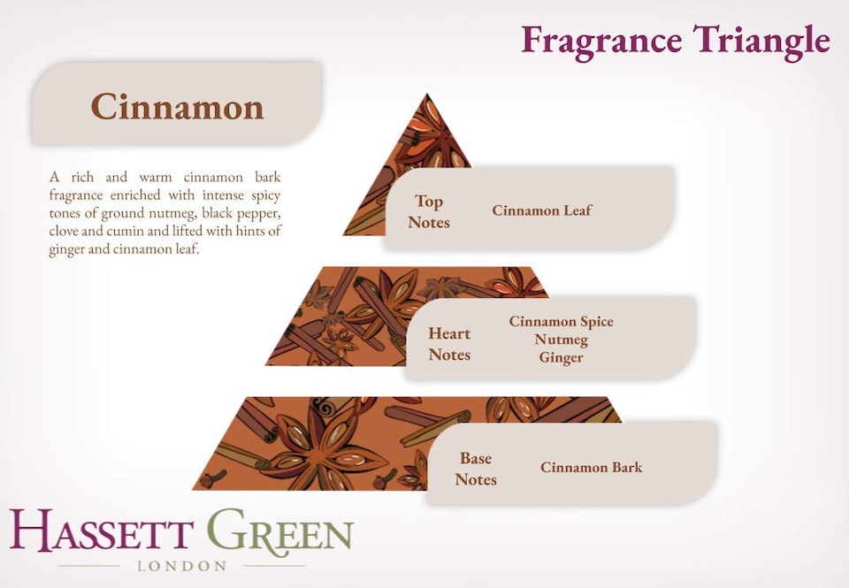 image 1 of Hassett Green London - Cinnamon - Scented Wooden Balls Pack of 12 plus 30ml Bottle of Home Fragrance Oil for Refreshing - Alternative to Pot Pourri, Diffusers, Sachets and Drawer Liners