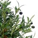 image 2 of 65cm Leaf Design UK Realistic Artificial Olive Tree in Black Plastic Pot | Green | 2ft