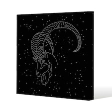Capricorn zodiac sign (canvas) 61 x 61 x 4cm