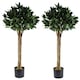 image 1 of Leaf 120cm Bay Tree Laurel UV Resistant Outdoor | Green | 4ft