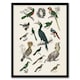 image 1 of Various Birds Illustration Goldsmith Vintage Framed Wall Art Print 12X16"