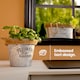 image 6 of Round Zinc Plant Pot 16cm with Hessian Handle