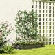 image 2 of Outsunny Set of 2 Metal Garden Trellis, Decorative Trellis Panels