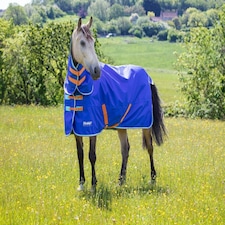 Shires Tempest Original 50 Turnout Rug & Neck Blue | Size: 6ft 6
Colour: Navy Blue