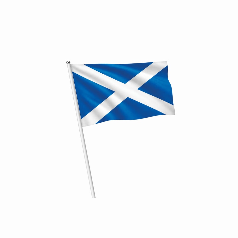 Hootyballoo Come On Scotland Polyester Small Waving Flags - Pack of 6