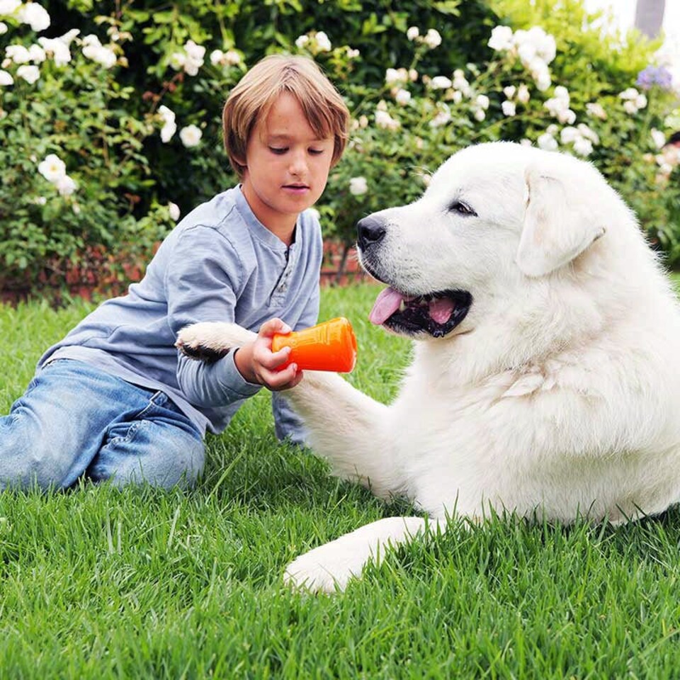 image 1 of BIONIC Treat Shaker Dog Toy 3 Sizes Multi | Size?: Large