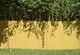 image 5 of Primrose Split Bamboo Privacy Artificial Garden Fence Screening Roll 4m x 1.5m
