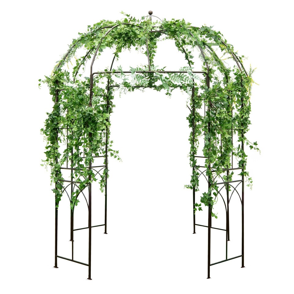 image 1 of COSTWAY Birdcage Shape Garden Arbor Plant Trellis