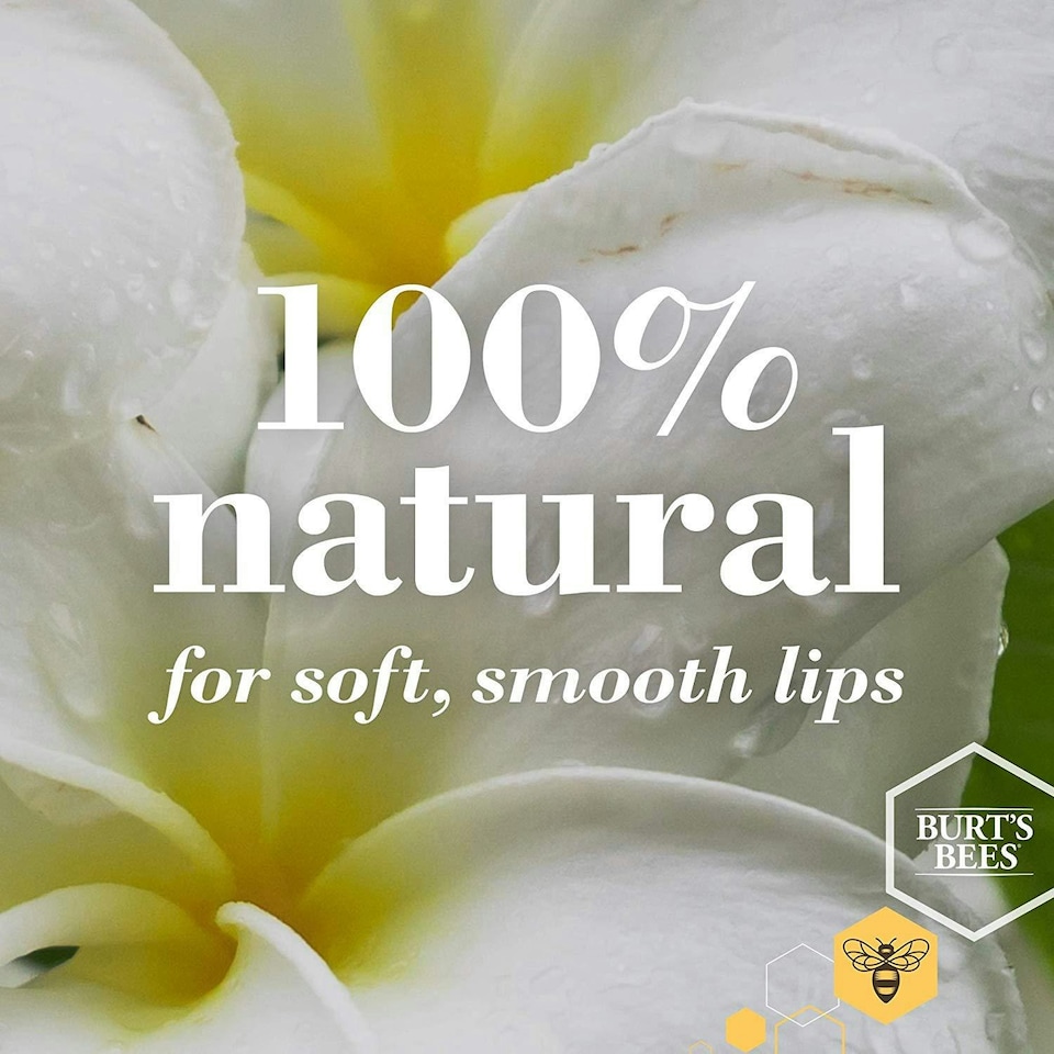 image 1 of Burts Bees Lip Balm Vanilla Bean Refill 0.15oz