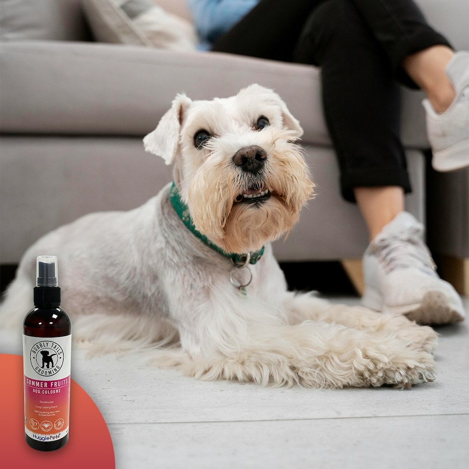 image 1 of HugglePets Bubbly Tails Dog Cologne - Summer Fruits