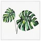 image 1 of Twin tropical leaves (Picutre Frame) White | XS