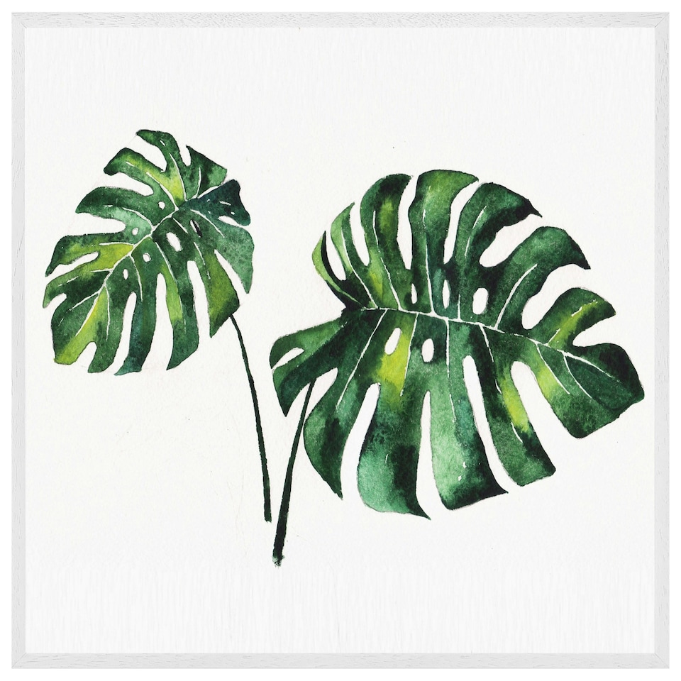 image 1 of Twin tropical leaves (Picutre Frame) White | XS