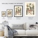 image 3 of Chinese Patterns of Birds and Flowers Racinet Huge Wall Art Poster Print 24X32"