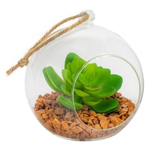 Nicola Spring Hanging Glass Terrarium - 12cm - Clear