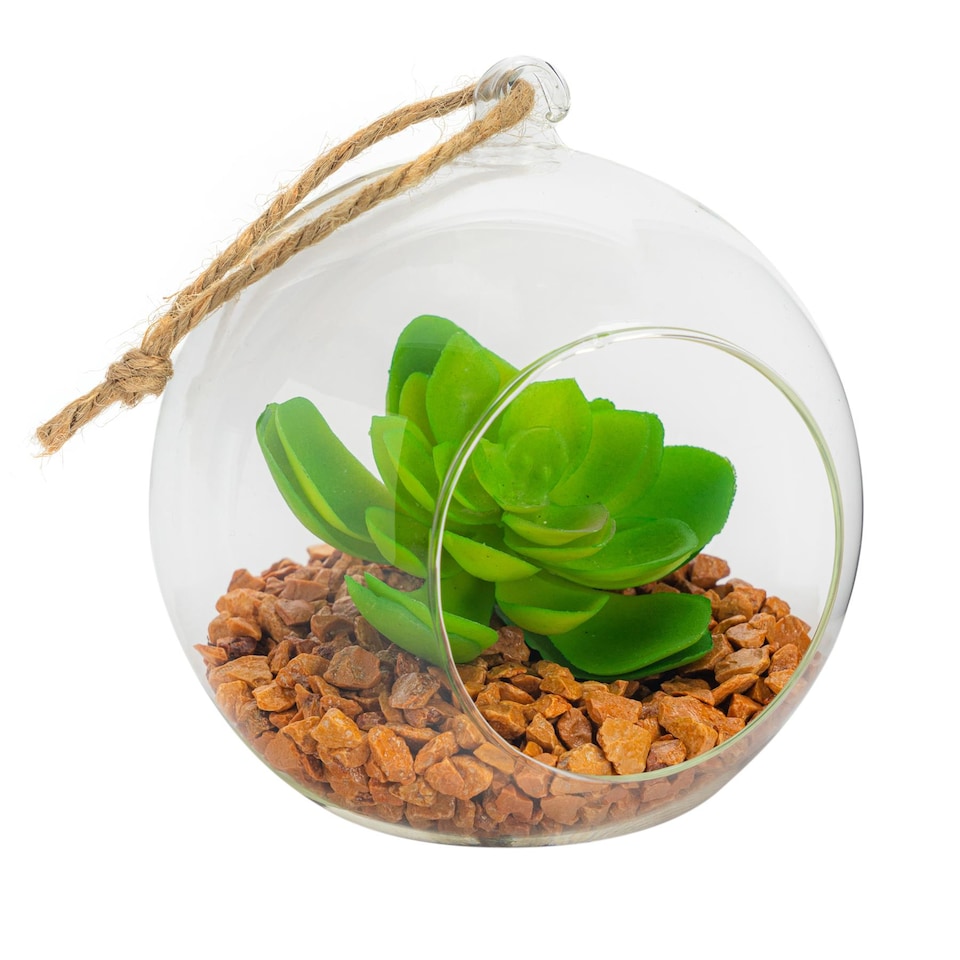 image 1 of Nicola Spring Hanging Glass Terrarium - 12cm - Clear