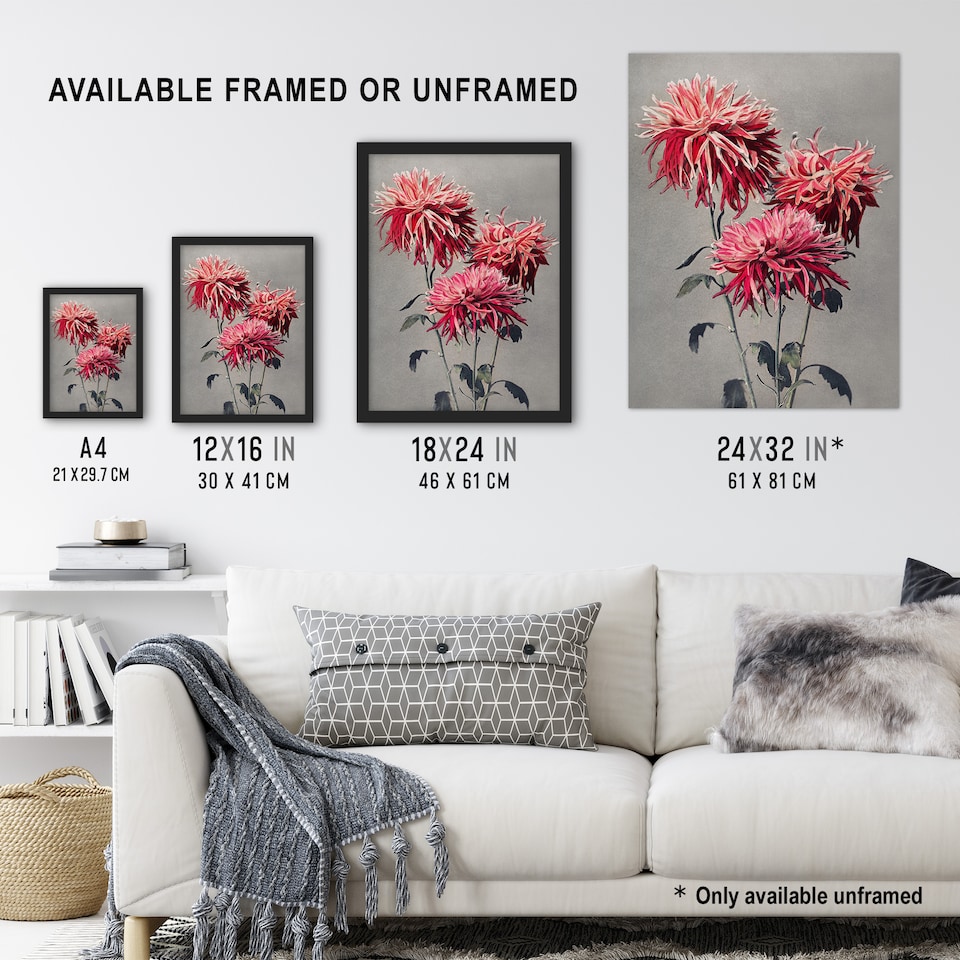 image 1 of Pink Chrysanthemum Flowers Vintage Japan Wall Art Print Kazumasa 12x16"