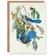 image 1 of John James Audubon Art Card Florida Jay and Persimmon Tree
