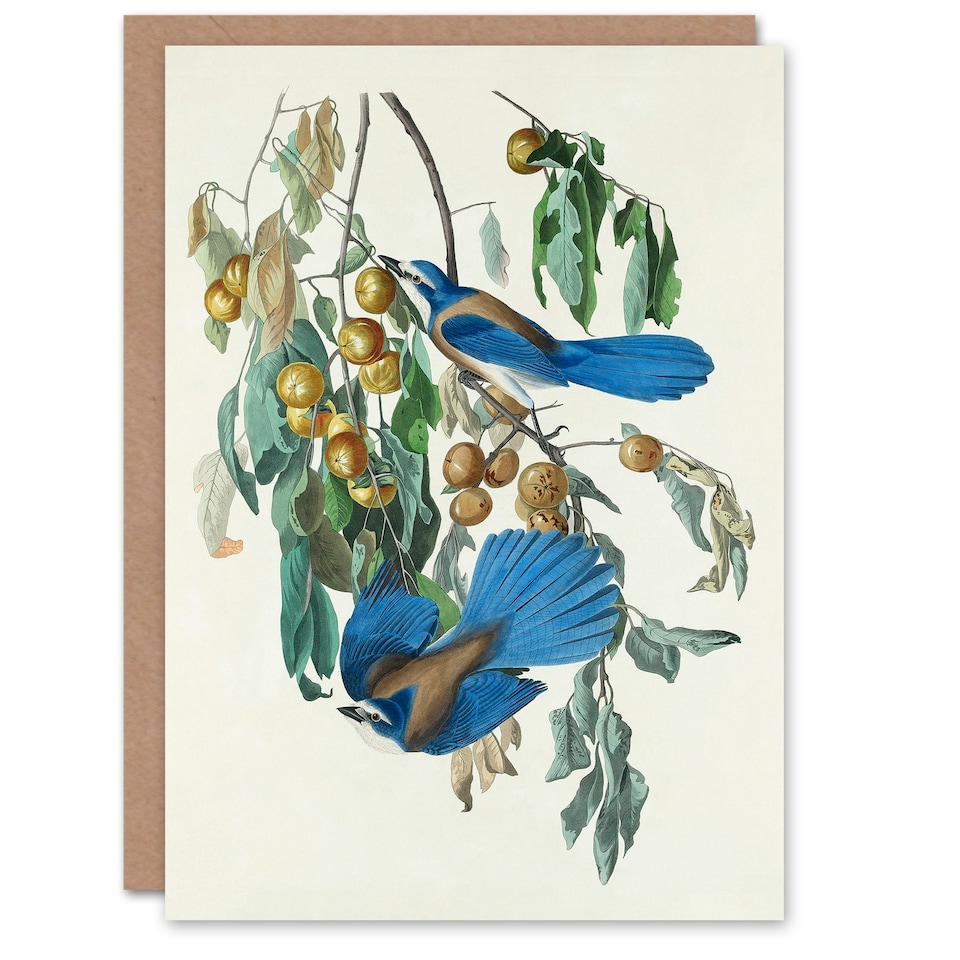 image 1 of John James Audubon Art Card Florida Jay and Persimmon Tree