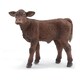 image 1 of PAPO Farmyard Friends Salers Calf Toy Figure