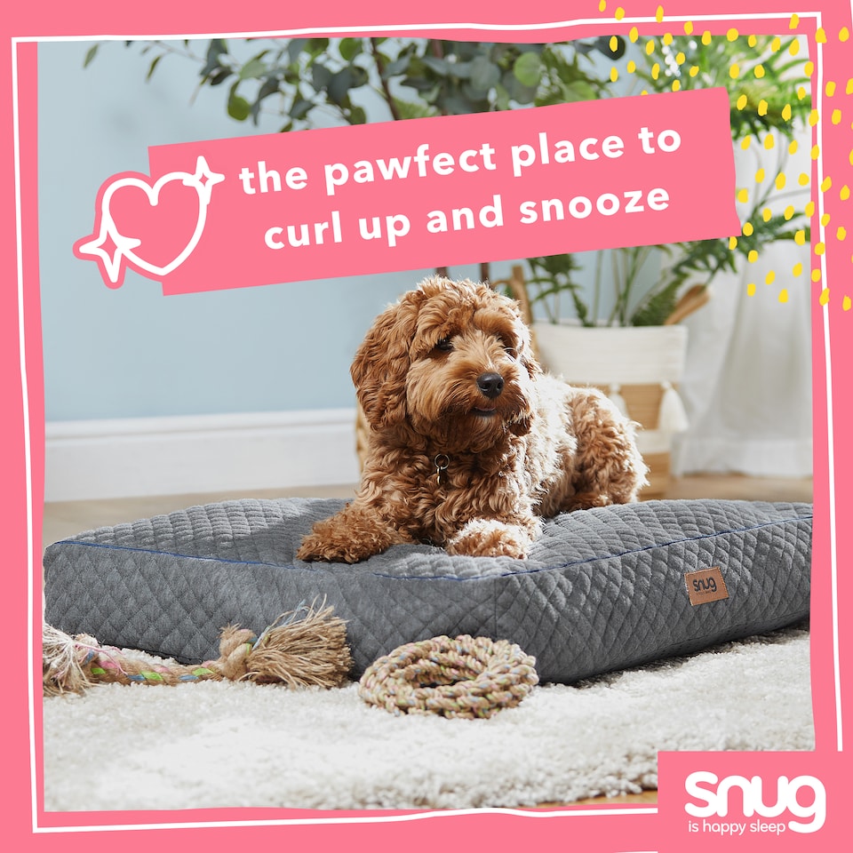 image 1 of Snug Furry Friends Pet Bed
