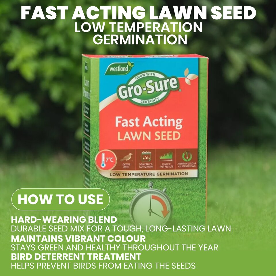 image 1 of Westland Gro-Sure Fast Acting Lawn Seed 30 Square Meter with 20 Percent Extra Free Quick Germination Grass Seed for New Lawns and Patch Repair