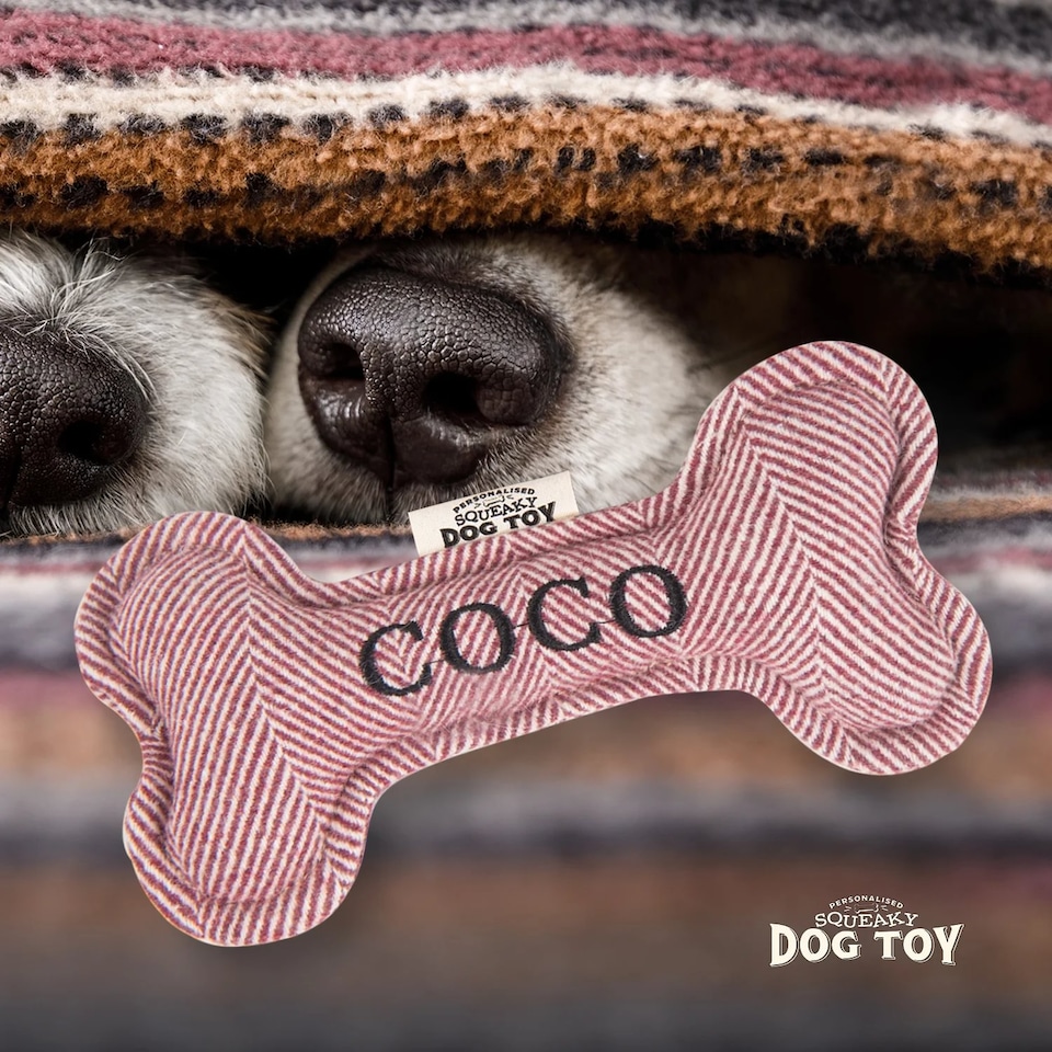 image 1 of History & Heraldry Pre-Personalised Squeaky Bone Dog Toy - Coco