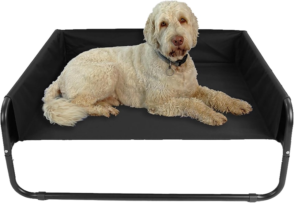 image 1 of Actiaspet Elevated Dog Bed Steel Frame Raised Pet Cot Black or Grey (Black, Large)