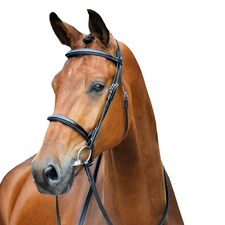 Salisbury Fairford Leather Stitch Horse Bridle - Black - Full