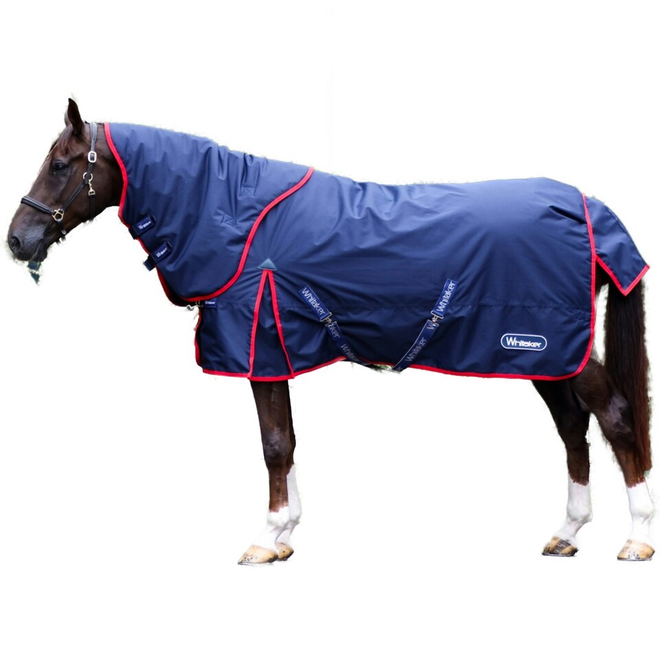 image 1 of Whitaker Rastrick V2 Combo Neck 250g Horse Turnout Rug - Navy/Grey - 5´ 6"