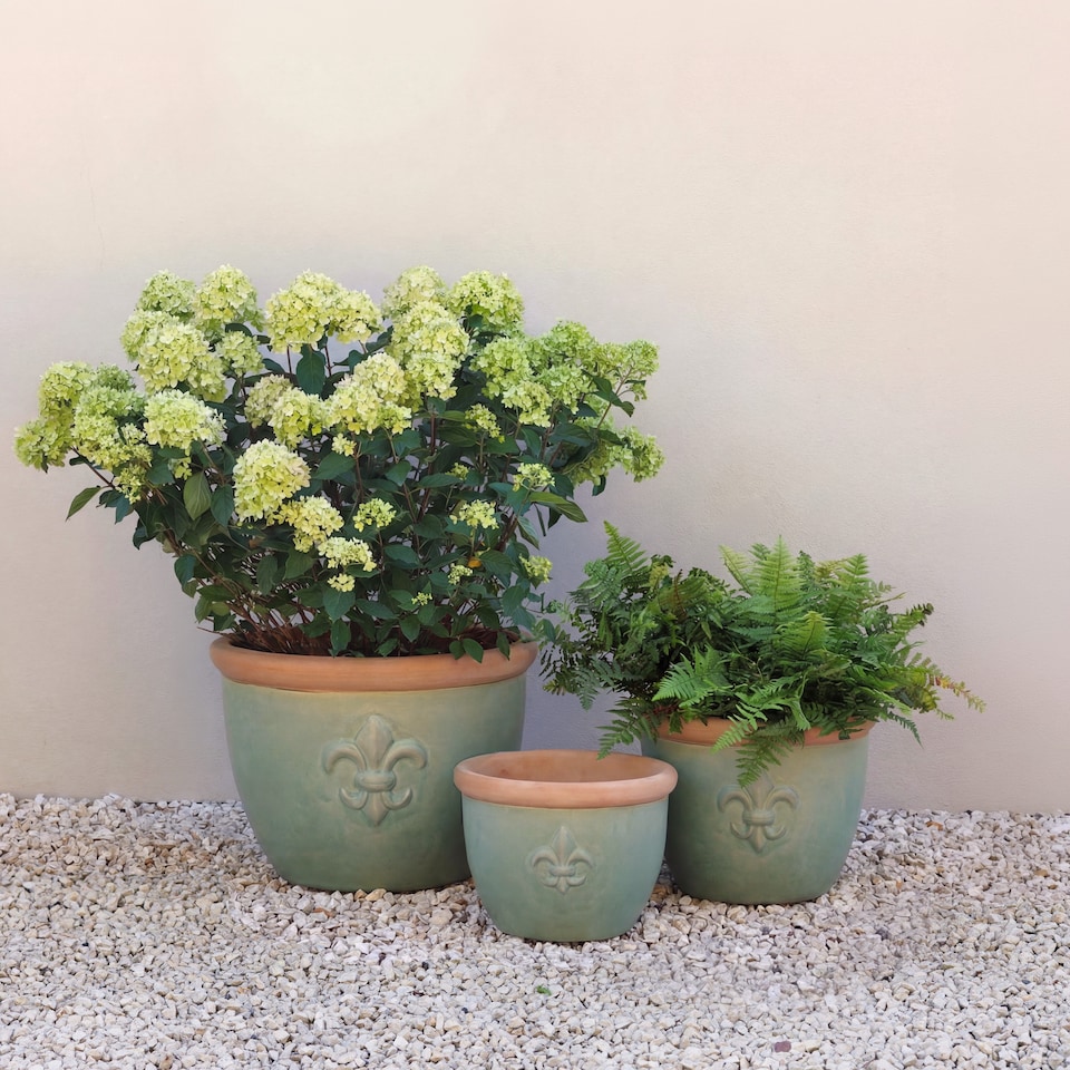 image 1 of Primrose Fiore Fleur De Lys Patterned Ceramic Planter in Green 32cm | Green | Green