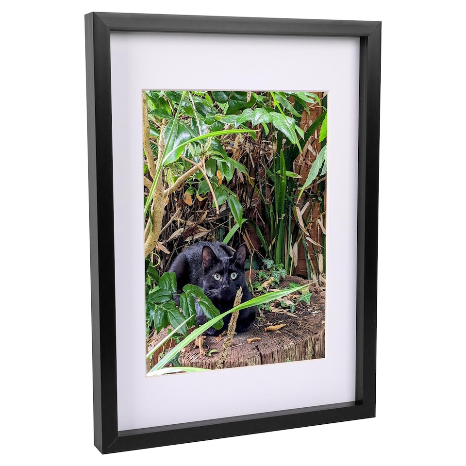 image 1 of Nicola Spring 3D Box Photo Frame with A4 Mount - A3 (12" x 17") - Black/White