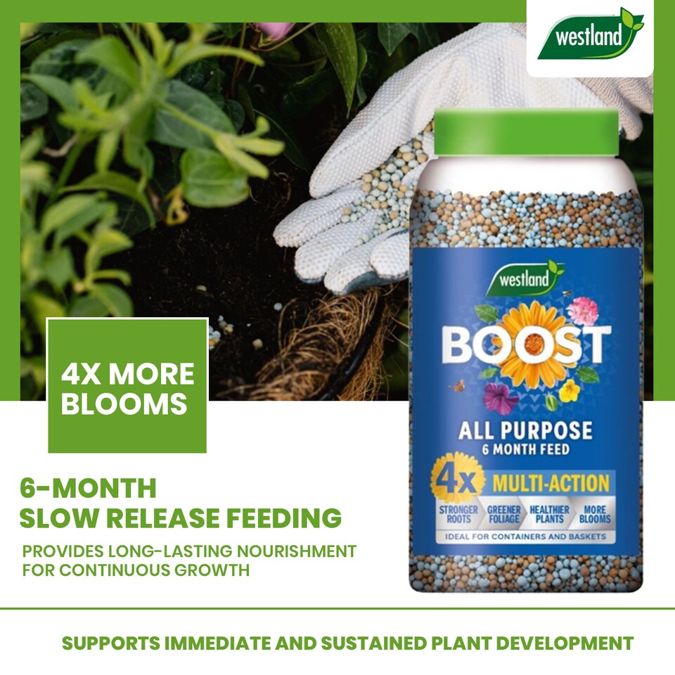 image 1 of Westland Boost All Purpose Plant Food 750g Slow Release Granules 6 Month Feed for Flowers Fruits Vegetables Healthy Growth