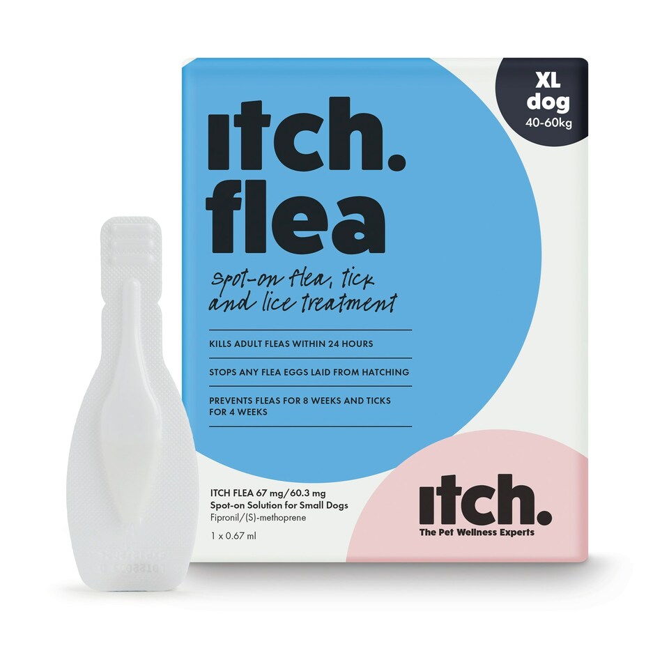 image 1 of Itch Flea Extra Large Dog Flea & Tick Spot On Treatment 1 Pipette (40+kg)