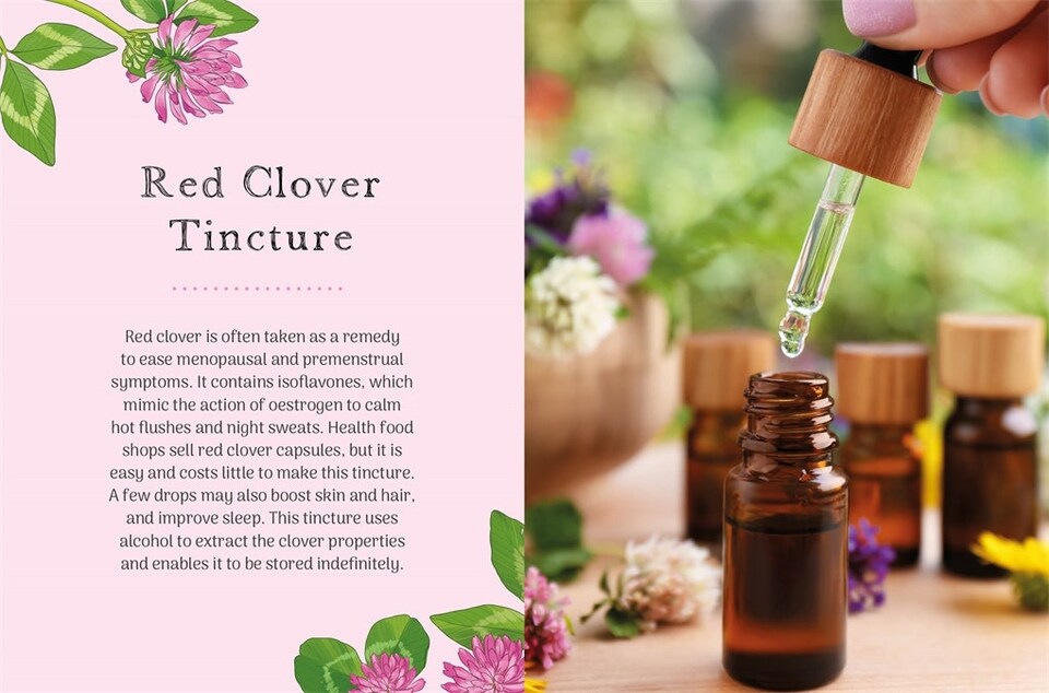 image 1 of The Little Wild Library: Clover