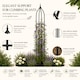 image 8 of Garden Obelisk for Climbing Plants 170cm - Metal Plant Cage Support Trellis Rose Tower for Flowers, Patio Pots, Shrubs, Borders