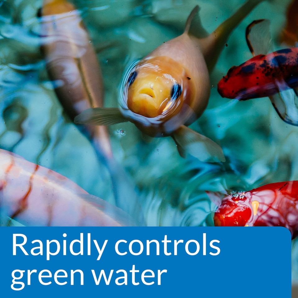 image 1 of 3.8L API Pond Algae Cure Large Volume Treatment for Green Water & Algae Prevention Pond Water Treatment & Fish Care