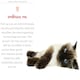 image 4 of 97 Ways To Make A Cat Like You