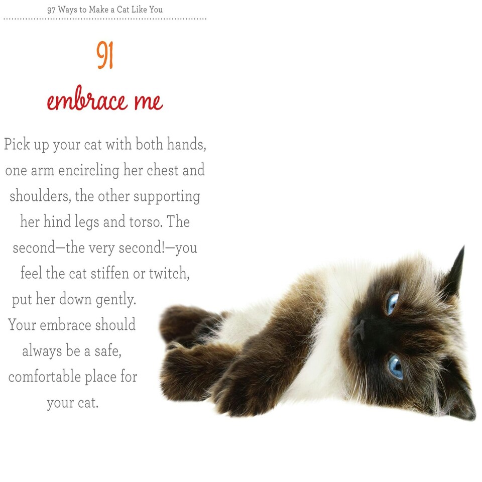 image 1 of 97 Ways To Make A Cat Like You