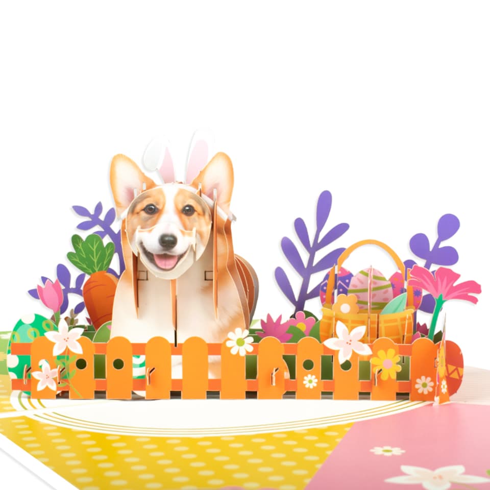 image 1 of Bloom & Bark Corgi in Bunny Ears 3D Pop Up Easter Card