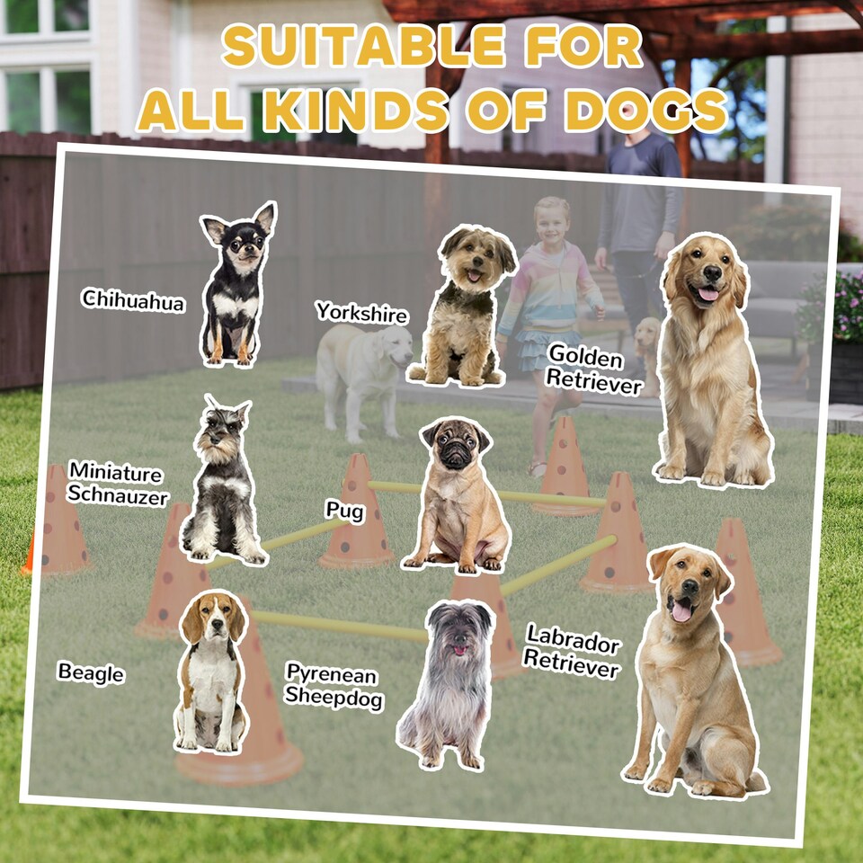 image 1 of PawHut Dog Agility Equipment Set, Four-Piece Adjustable Height Jumping