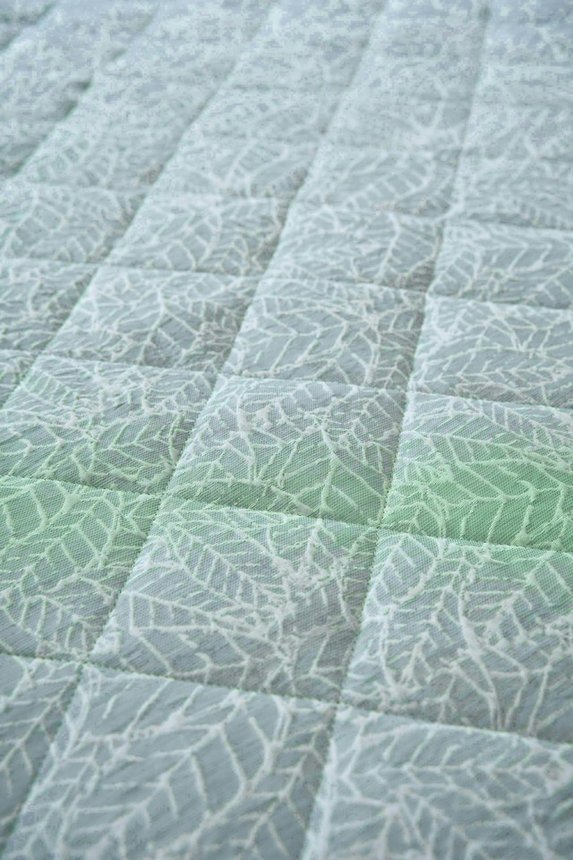 image 1 of Intimates Ayda Luxury Jaquard Floral Quilted Bedspread Set | Multi | Multi | Single