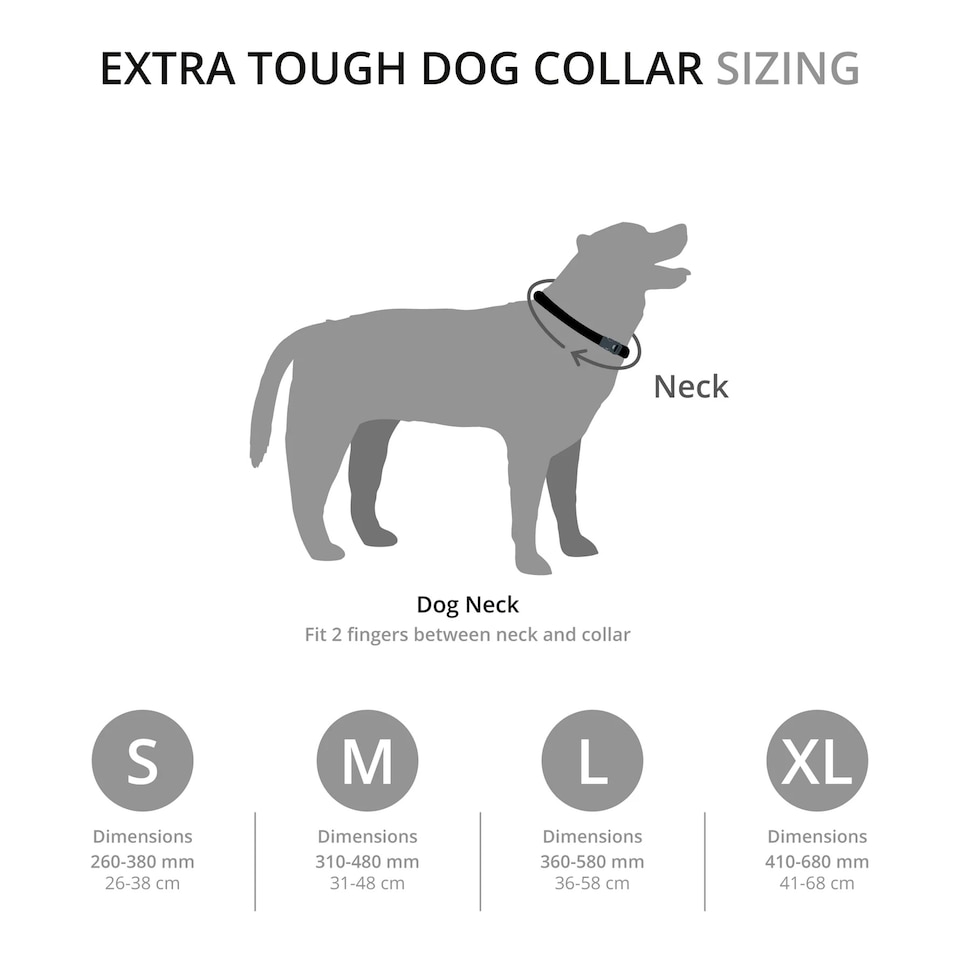 image 1 of Mountain Paws Blue Ombre Dog Collar | Blue | XL