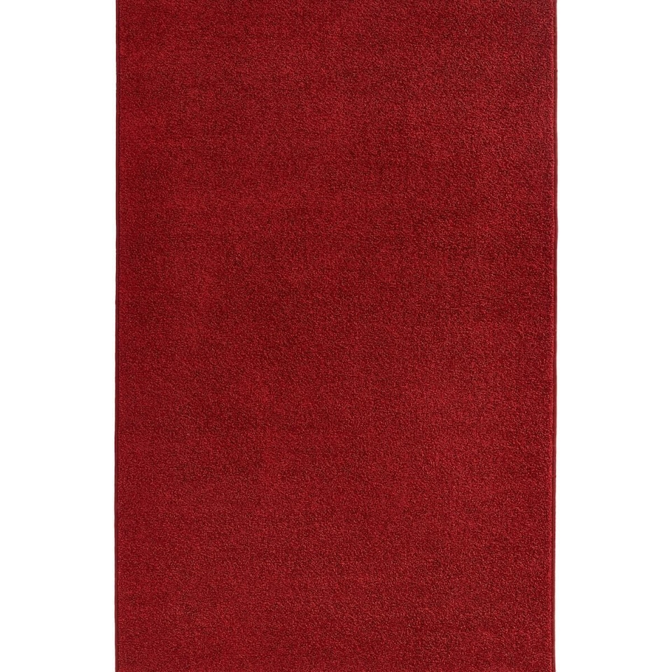 image 1 of The Rugs Velours Pure Modern Plain Velour Floor Rug Synthetic Short Pile