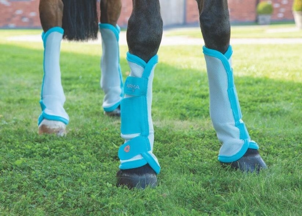 image 1 of Shires Arma Fly Turnout Socks | Black | Cob