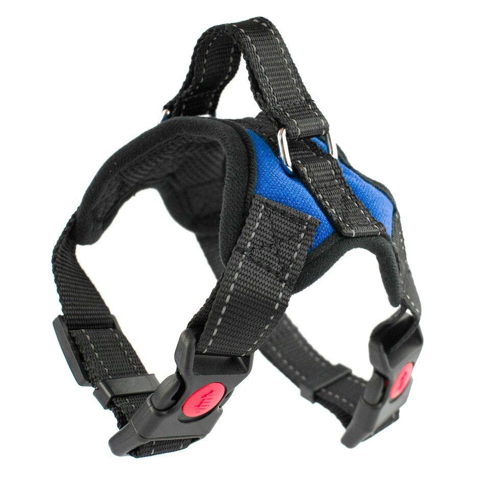image 1 of KCT Extra Small Blue Padded Dog Harness Blue | XS