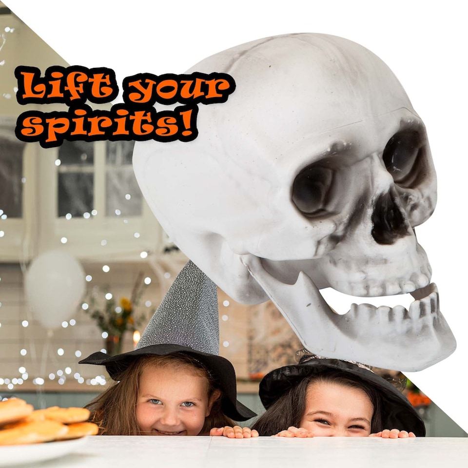 image 1 of vfm-estore Halloween Skull With Moving Jaw Decoration - White