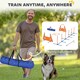 image 6 of PawHut Seven-Piece Dog Agility Equipment, Obstacle Training Course Kit