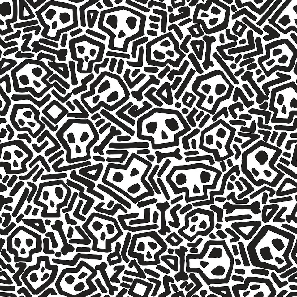 Sample of Skater Skull Wallpaper in Black and White Multi