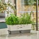 image 2 of Cole & Mason Burwell Self-Watering Potted Herb Saver Triple Clear