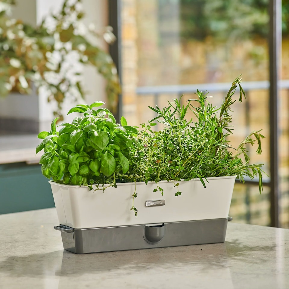 image 1 of Cole & Mason Burwell Self-Watering Potted Herb Saver Triple Clear